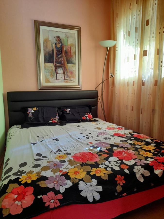Villa Garden Apartments Herceg Novi Extérieur photo