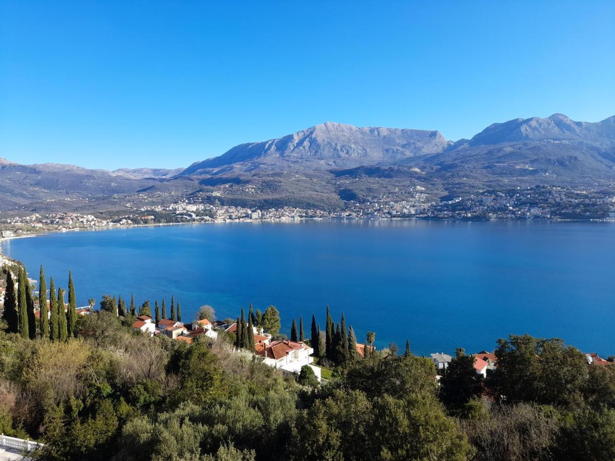 Villa Garden Apartments Herceg Novi Extérieur photo