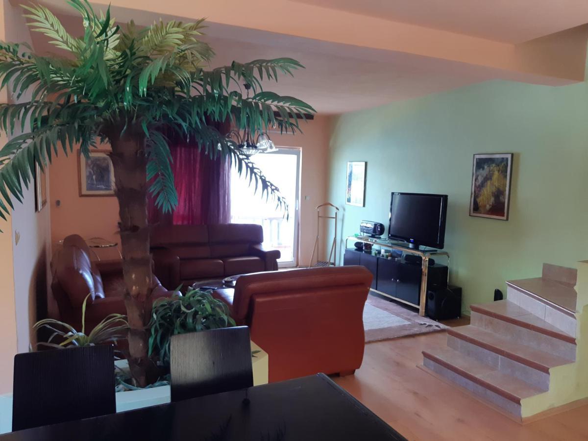 Villa Garden Apartments Herceg Novi Extérieur photo