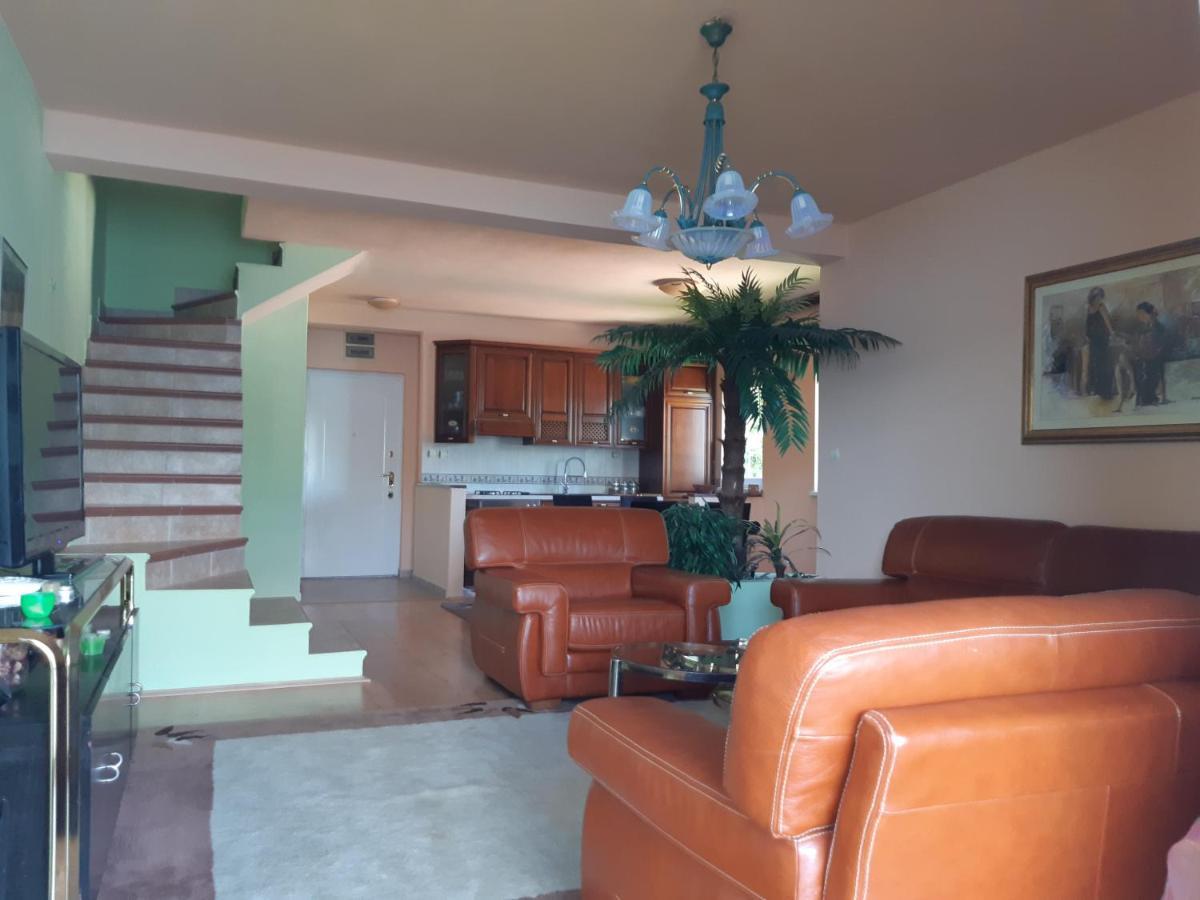 Villa Garden Apartments Herceg Novi Extérieur photo