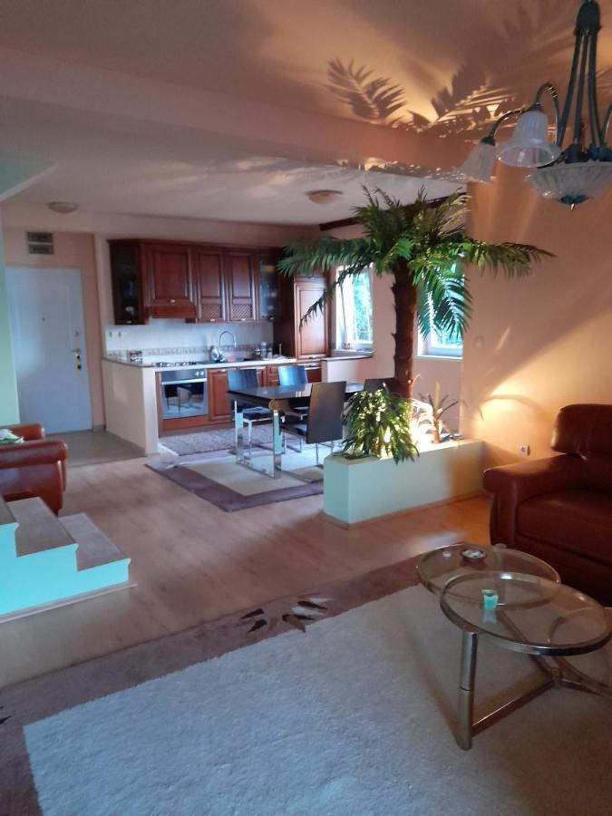 Villa Garden Apartments Herceg Novi Extérieur photo