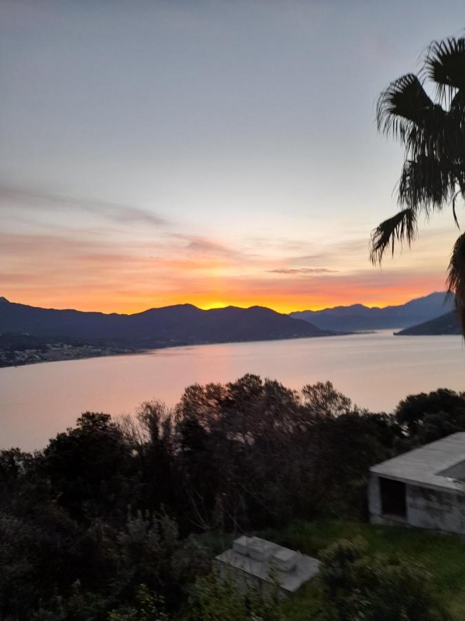 Villa Garden Apartments Herceg Novi Extérieur photo